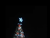 بالفيديو : لحظة انارة شجرة عيد الميلاد في عسفيا 